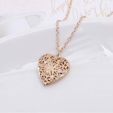 Load image into Gallery viewer, Two Leaves Pendant Clavicle Necklaces For Women