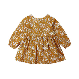 New Autumn Winter Baby Girls Dress Cute Floral Long Sleeve Kids Dresses For Girls Toddler Infant Long Sleeve Mini Dress Clothes